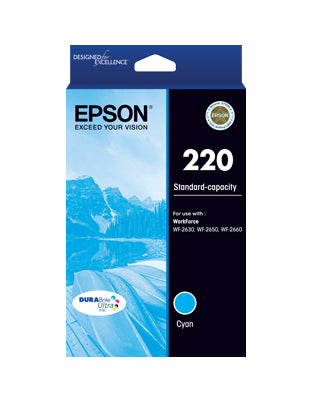 Epson C13T293292 ink cartridge Original Standard Yield Cyan product image