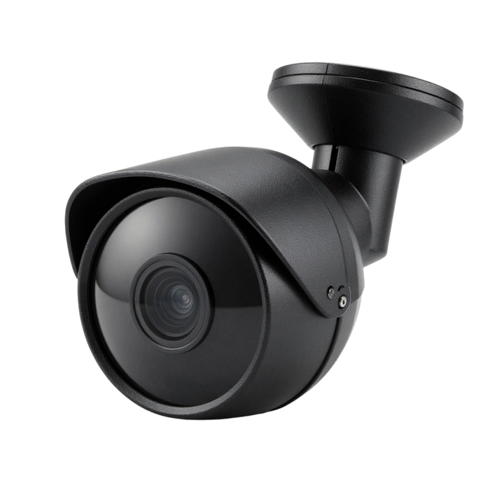 Security Surveillance