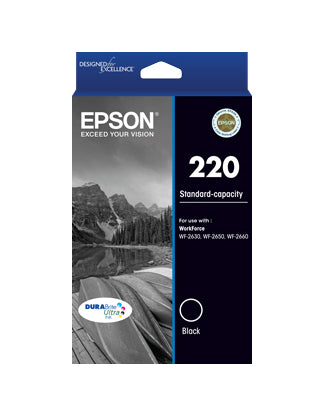 Epson C13T293192 ink cartridge Original Standard Yield Black product image